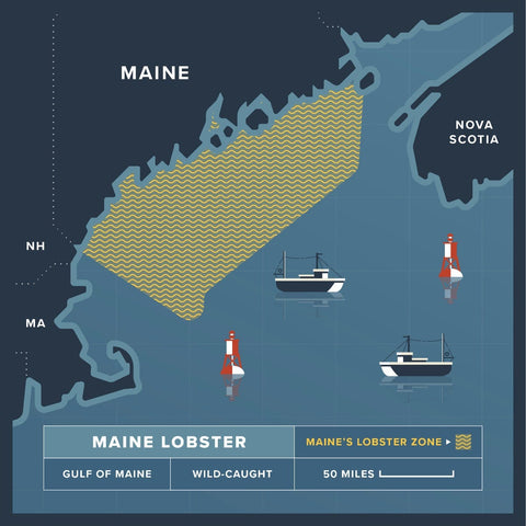 10-12 oz. Maine Lobster Tail x 2 - Maine Lobster Now