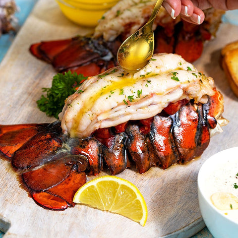 10-12 oz. Maine Lobster Tail x 2 - Maine Lobster Now