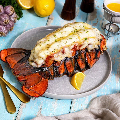 20-24 oz. North Atlantic Lobster Tail - Maine Lobster Now