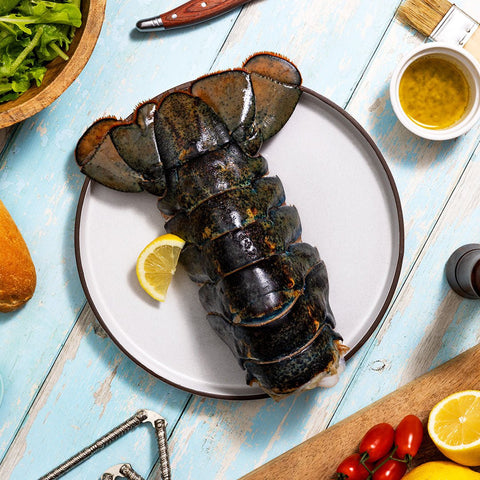 20-24 oz. North Atlantic Lobster Tail - Maine Lobster Now