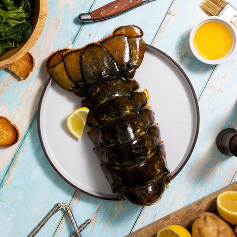 24-28 oz. North Atlantic Lobster Tail - Maine Lobster Now