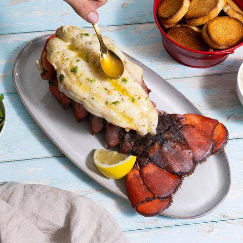 24-28 oz. North Atlantic Lobster Tail - Maine Lobster Now