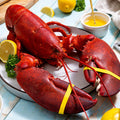 3 lb Live Maine Lobster - Maine Lobster Now