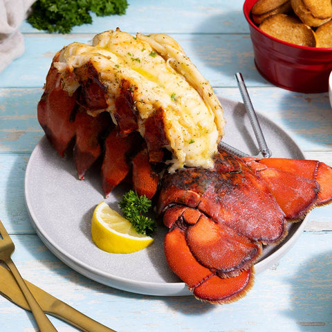 32-36 oz. North Atlantic Lobster Tail - Maine Lobster Now