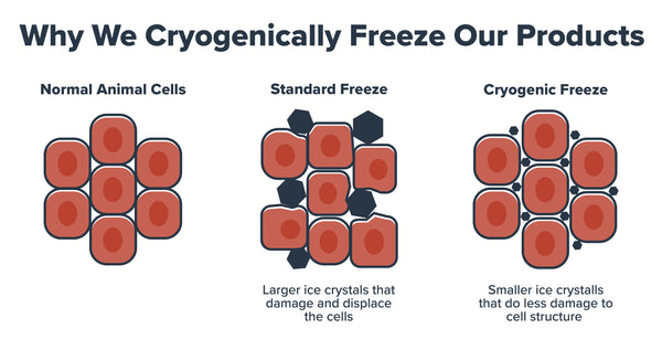 Cryogenic Freezing Cell Diagram