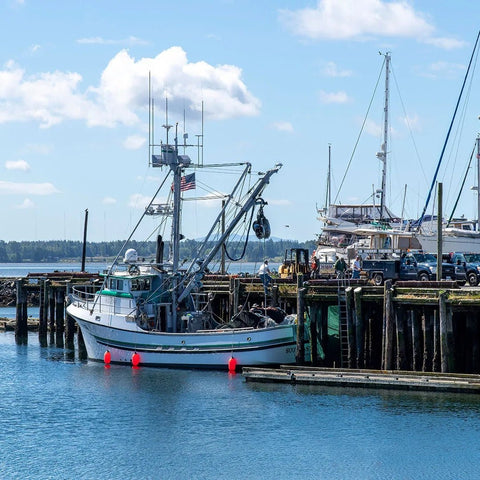 Dungeness Crab Meat - 1 lb. - Maine Lobster Now