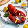 1.25 lb Live Maine Lobster - Maine Lobster Now