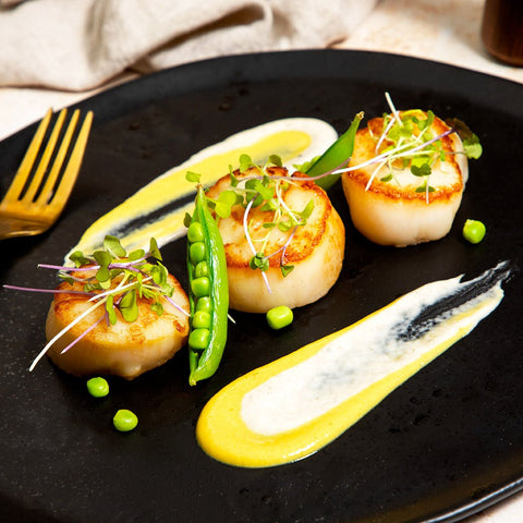 Giant Sea Scallops - U-8 - 1 lb (Diver Scallops) - Maine Lobster Now