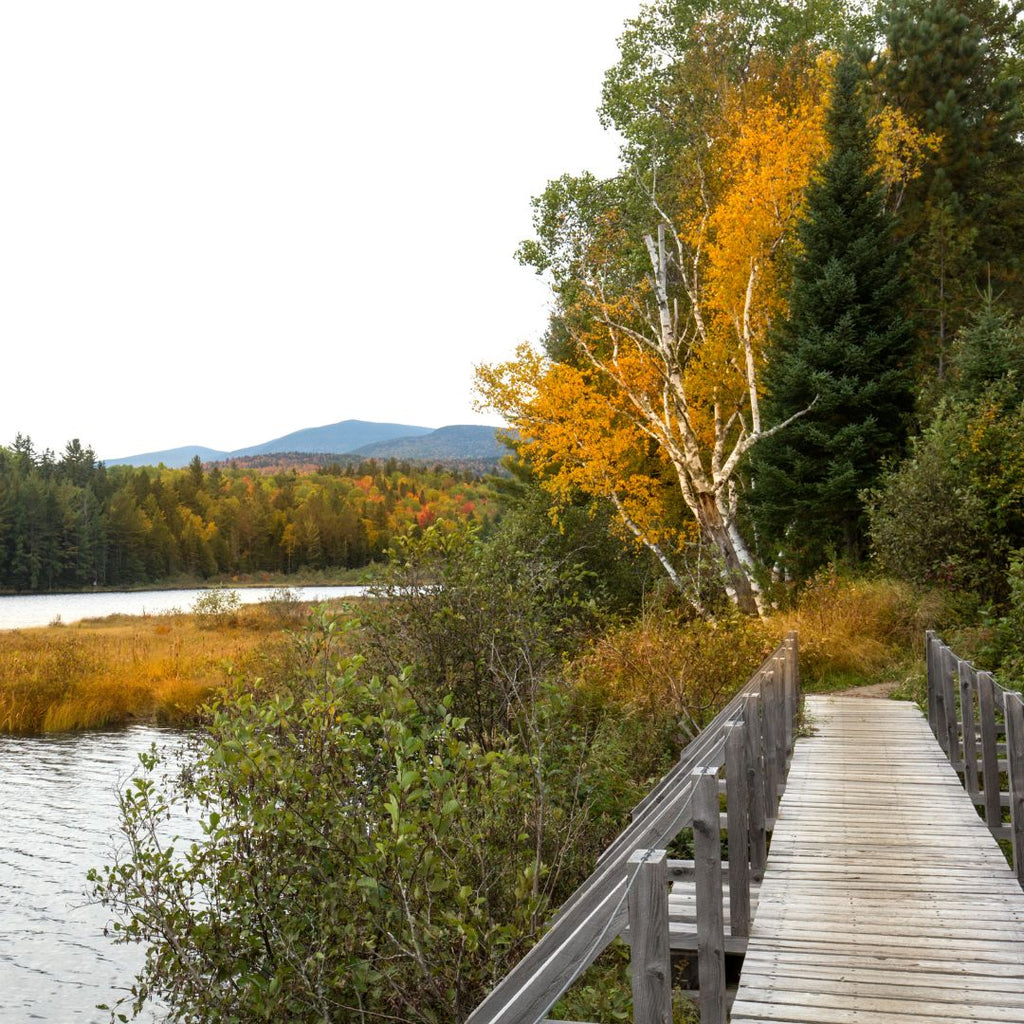 Hiking In Maine