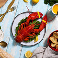 1.5 lb Live Maine Lobster - Maine Lobster Now