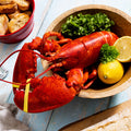 1.75 lb Live Maine Lobster - Maine Lobster Now