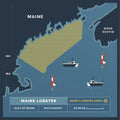 1.75 lb Live Maine Lobster - Maine Lobster Now