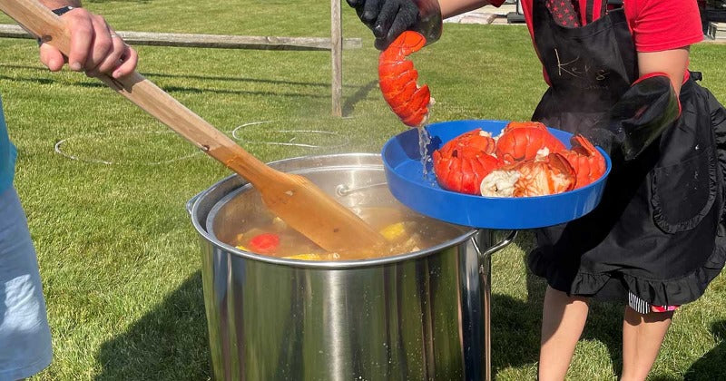 lobsters being boiled in pot