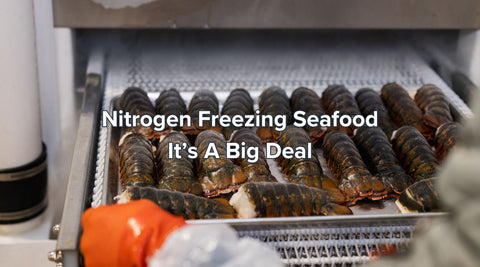 Nitrogen Freezing Seafood - Why It's So Important - Maine Lobster Now