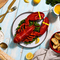 1.75 lb Live Maine Lobster - Maine Lobster Now