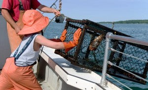 Lobster trap being pushed off boat