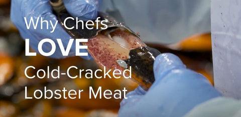 Why Chefs Love Cold Cracked Lobster Meat