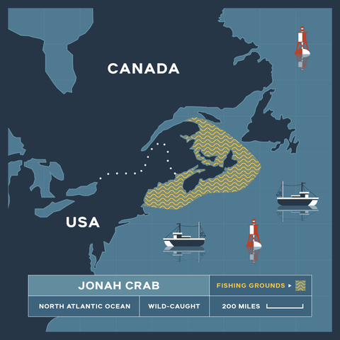 Jonah Crab Cakes - 2 x 3 oz - Maine Lobster Now